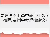 贵州考不上高中该上什么学校呢(贵州中考择校建议)