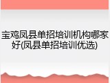 宝鸡凤县单招培训机构哪家好(凤县单招培训优选)