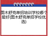 图木舒克单招培训学校哪个最好(图木舒克单招学校优选)