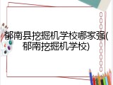 郁南县挖掘机学校哪家强(郁南挖掘机学校)