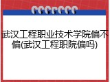 武汉工程职业技术学院偏不偏(武汉工程职院偏吗)