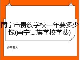 南宁市贵族学校一年要多少钱(南宁贵族学校学费)