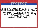 锡林郭勒西乌珠穆沁旗编程培训学费一般多少钱(西乌旗编程培训费用)