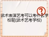 武术表演艺考可以考什么学校呢(武术艺考学校)