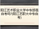 阳江艺术职业大学中专部是自考吗?(阳江艺职大中专自考)