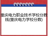 重庆电力职业技术学校分数线(重庆电力学校分数)