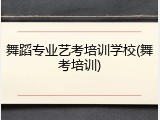 舞蹈专业艺考培训学校(舞考培训)