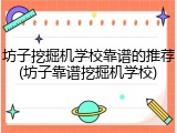 坊子挖掘机学校靠谱的推荐(坊子靠谱挖掘机学校)