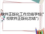 软件正版化工作总结学校("校软件正版化总结")