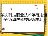 肇庆科技职业技术学院电话多少(肇庆科技职院电话)