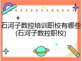 石河子数控培训职校有哪些(石河子数控职校)