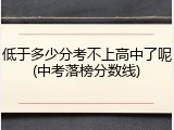低于多少分考不上高中了呢(中考落榜分数线)