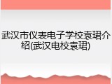 武汉市仪表电子学校袁珺介绍(武汉电校袁珺)