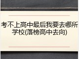 考不上高中最后我要去哪所学校(落榜高中去向)