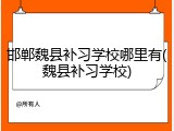 邯郸魏县补习学校哪里有(魏县补习学校)