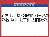 湖南电子科技职业学院录取分数(湖南电子科技职院分)