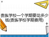 贵族学校一个学期要花多少钱(贵族学校学期费用)