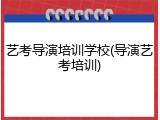 艺考导演培训学校(导演艺考培训)