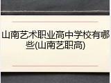山南艺术职业高中学校有哪些(山南艺职高)