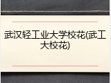 武汉轻工业大学校花(武工大校花)