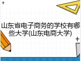 山东省电子商务的学校有哪些大学(山东电商大学)
