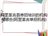 阿里革吉县单招培训的机构有哪些(阿里革吉单招机构)