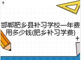 邯郸肥乡县补习学校一年费用多少钱(肥乡补习学费)