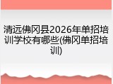 清远佛冈县2026年单招培训学校有哪些(佛冈单招培训)