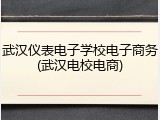 武汉仪表电子学校电子商务(武汉电校电商)