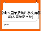 凉山木里单招集训学校有哪些(木里单招学校)