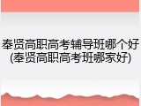 奉贤高职高考辅导班哪个好(奉贤高职高考班哪家好)