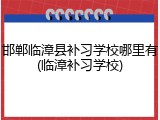 邯郸临漳县补习学校哪里有(临漳补习学校)