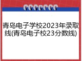青岛电子学校2023年录取线(青岛电子校23分数线)