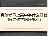 男孩考不上高中学什么好就业(男孩学啥好就业)
