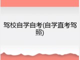 驾校自学自考(自学直考驾照)