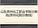 山东滨州化工职业学院分数线(滨州化院分数线)