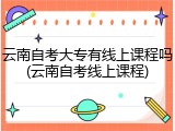 云南自考大专有线上课程吗(云南自考线上课程)