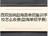 西双版纳勐海县单招集训学校怎么收费(勐海单招学费)