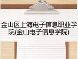 金山区上海电子信息职业学院(金山电子信息学院)