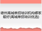 德州禹城单招培训机构哪家最好(禹城单招培训优选)