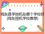 鸡东县学挖机在哪个学校好(鸡东挖机学校推荐)