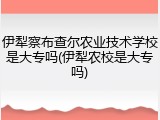 伊犁察布查尔农业技术学校是大专吗(伊犁农校是大专吗)