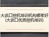 大武口挖机培训机构哪家好(大武口优质挖机培训)