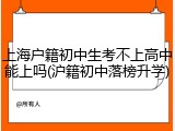 上海户籍初中生考不上高中能上吗(沪籍初中落榜升学)