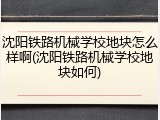 沈阳铁路机械学校地块怎么样啊(沈阳铁路机械学校地块如何)