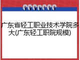 广东省轻工职业技术学院多大(广东轻工职院规模)