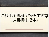泸县电子机械学校招生简章(泸县机电招生)