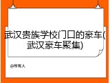 武汉贵族学校门口的豪车(武汉豪车聚集)