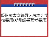 郑州蒙太奇编导艺考培训学校费用(郑州编导艺考费用)