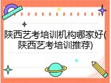 陕西艺考培训机构哪家好(陕西艺考培训推荐)